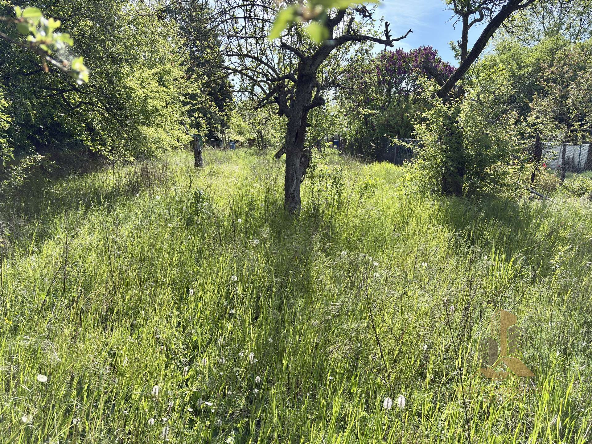 Blick 1